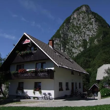 Joze Pekovec Apartament *