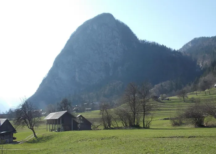 아파트 Joze Pekovec *