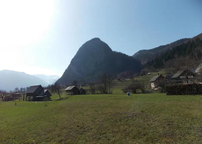 Joze Pekovec 아파트 보히니